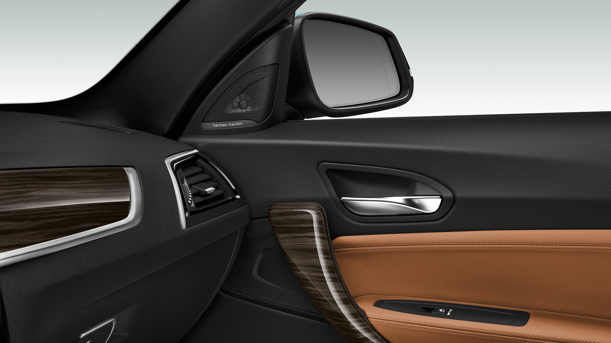 Panoul lateral al portierei BMW Seria 2 Cabriolet Panoul lateral al portierei BMW Seria 2 Cabriolet